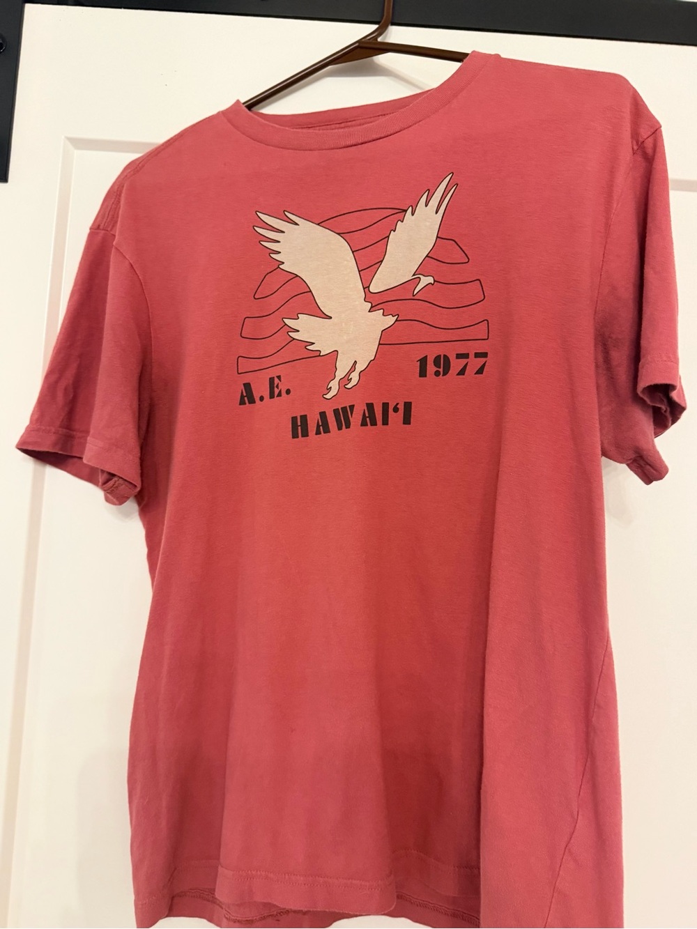 American Eagle Outfitters Coral Graphic Tee with Eagle Print